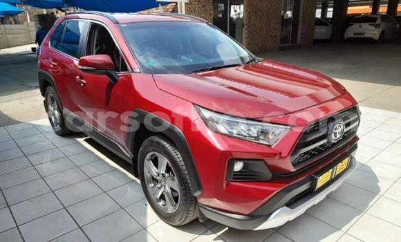 Buy Used Toyota RAV4 Red Car in Maseru in Maseru Buy Used Toyota RAV4 Red Car in Maseru in Maseru