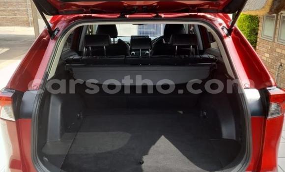 Buy Used Toyota RAV4 Red Car in Maseru in Maseru Buy Used Toyota RAV4 Red Car in Maseru in Maseru