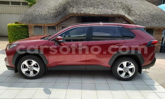 Buy Used Toyota RAV4 Red Car in Maseru in Maseru Buy Used Toyota RAV4 Red Car in Maseru in Maseru