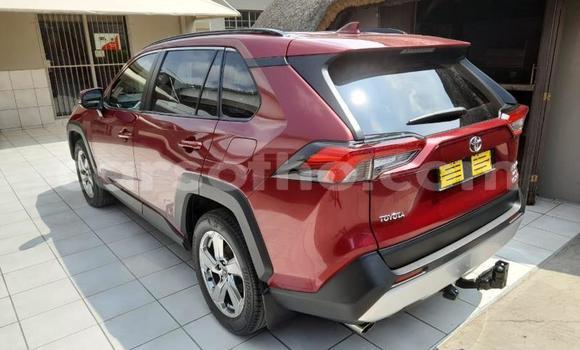 Buy Used Toyota RAV4 Red Car in Maseru in Maseru Buy Used Toyota RAV4 Red Car in Maseru in Maseru