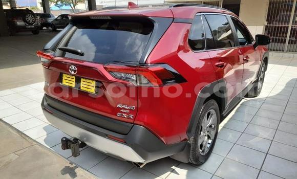 Buy Used Toyota RAV4 Red Car in Maseru in Maseru Buy Used Toyota RAV4 Red Car in Maseru in Maseru