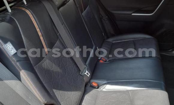 Buy Used Toyota RAV4 Red Car in Maseru in Maseru Buy Used Toyota RAV4 Red Car in Maseru in Maseru