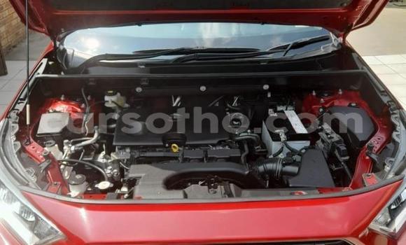 Buy Used Toyota RAV4 Red Car in Maseru in Maseru Buy Used Toyota RAV4 Red Car in Maseru in Maseru