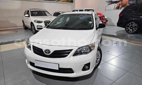 Acheter Occasion Voiture Toyota Corolla Blanc à Maseru, Maseru Acheter Occasion Voiture Toyota Corolla Blanc à Maseru, Maseru