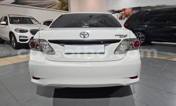 Acheter Occasion Voiture Toyota Corolla Blanc à Maseru, Maseru Acheter Occasion Voiture Toyota Corolla Blanc à Maseru, Maseru