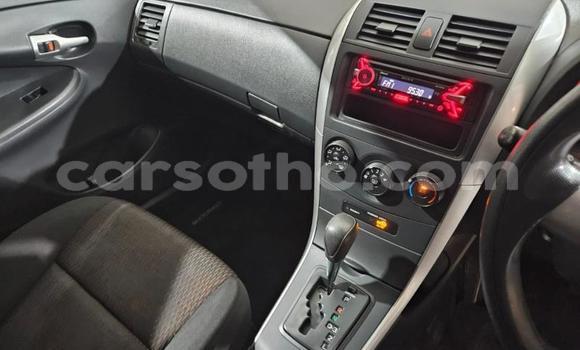 Acheter Occasion Voiture Toyota Corolla Blanc à Maseru, Maseru Acheter Occasion Voiture Toyota Corolla Blanc à Maseru, Maseru