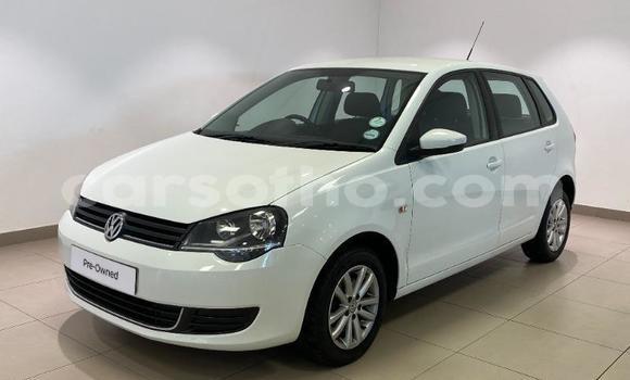 Buy Used Volkswagen Polo White Car in Maseru in Maseru