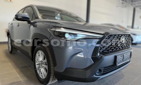 Buy Used Toyota Corolla Cross Other Car in Maseru in Maseru