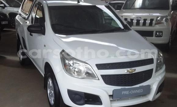 اشتري مستعمل Chevlolet Spin White سيارة في Maseru في Maseru اشتري مستعمل Chevlolet Spin White سيارة في Maseru في Maseru