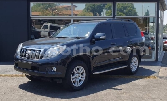 اشتري مستعمل Toyota Land Cruiser Prado Black سيارة في Maseru في Maseru اشتري مستعمل Toyota Land Cruiser Prado Black سيارة في Maseru في Maseru