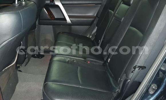 اشتري مستعمل Toyota Land Cruiser Prado Black سيارة في Maseru في Maseru اشتري مستعمل Toyota Land Cruiser Prado Black سيارة في Maseru في Maseru