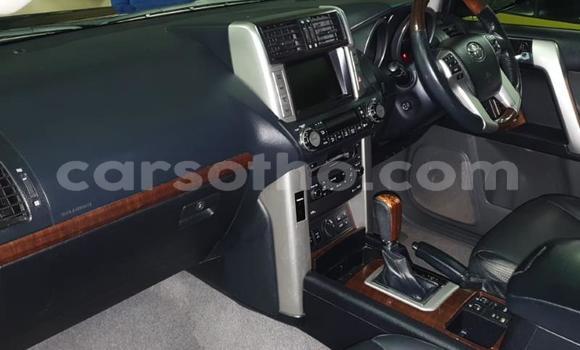 اشتري مستعمل Toyota Land Cruiser Prado Black سيارة في Maseru في Maseru اشتري مستعمل Toyota Land Cruiser Prado Black سيارة في Maseru في Maseru