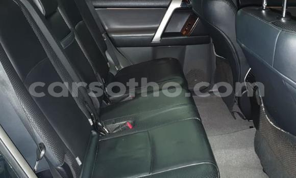 اشتري مستعمل Toyota Land Cruiser Prado Black سيارة في Maseru في Maseru اشتري مستعمل Toyota Land Cruiser Prado Black سيارة في Maseru في Maseru