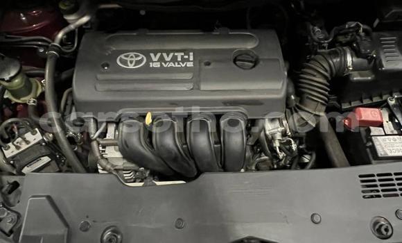 اشتري مستعمل Toyota Corolla Verso Red سيارة في Maseru في Maseru اشتري مستعمل Toyota Corolla Verso Red سيارة في Maseru في Maseru