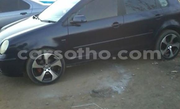 Buy Used Volkswagen Polo Black Car in Maseru in Maseru Buy Used Volkswagen Polo Black Car in Maseru in Maseru