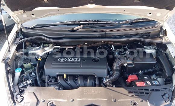 Acheter Occasion Voiture Toyota Corolla Verso Gris à Maseru, Maseru Acheter Occasion Voiture Toyota Corolla Verso Gris à Maseru, Maseru