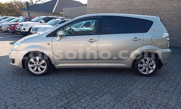 Acheter Occasion Voiture Toyota Corolla Verso Gris à Maseru, Maseru Acheter Occasion Voiture Toyota Corolla Verso Gris à Maseru, Maseru
