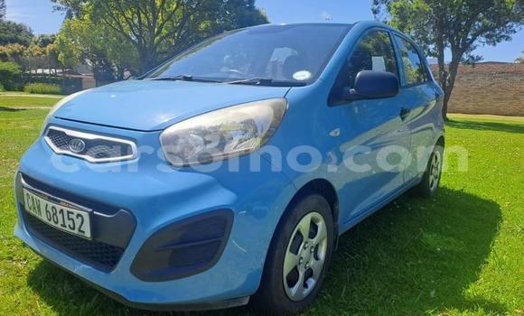 Buy Used Kia Picanto Blue Car in Maseru in Maseru