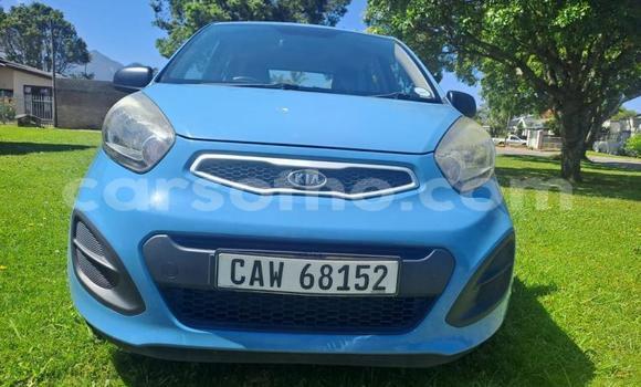 Sayi Na hannu Kia Picanto Blue Mota in Maseru a Maseru Sayi Na hannu Kia Picanto Blue Mota in Maseru a Maseru