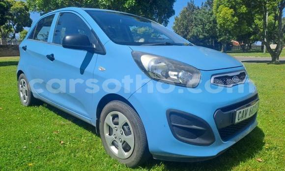 Sayi Na hannu Kia Picanto Blue Mota in Maseru a Maseru Sayi Na hannu Kia Picanto Blue Mota in Maseru a Maseru