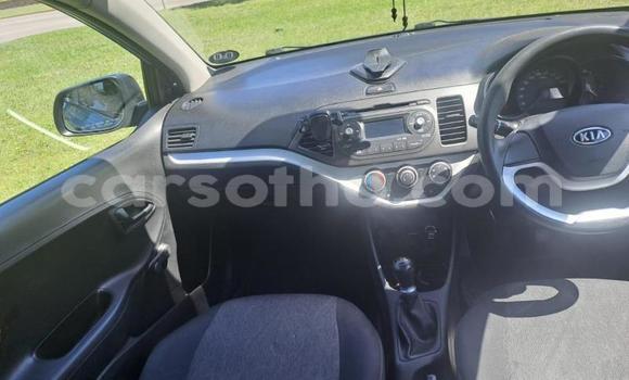Sayi Na hannu Kia Picanto Blue Mota in Maseru a Maseru Sayi Na hannu Kia Picanto Blue Mota in Maseru a Maseru