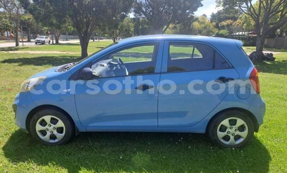 Sayi Na hannu Kia Picanto Blue Mota in Maseru a Maseru Sayi Na hannu Kia Picanto Blue Mota in Maseru a Maseru