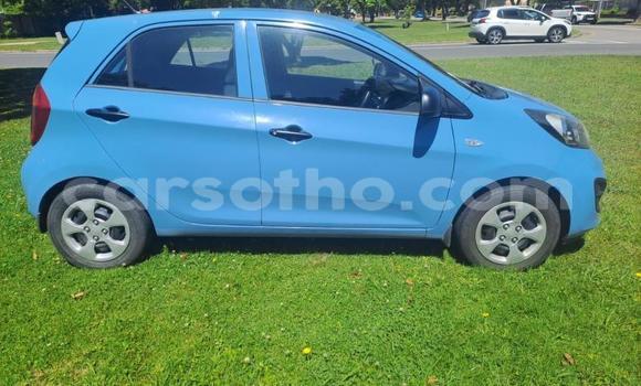 Sayi Na hannu Kia Picanto Blue Mota in Maseru a Maseru Sayi Na hannu Kia Picanto Blue Mota in Maseru a Maseru