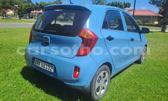 Sayi Na hannu Kia Picanto Blue Mota in Maseru a Maseru Sayi Na hannu Kia Picanto Blue Mota in Maseru a Maseru