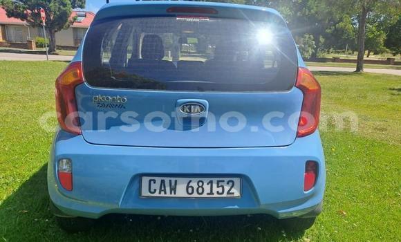 Sayi Na hannu Kia Picanto Blue Mota in Maseru a Maseru Sayi Na hannu Kia Picanto Blue Mota in Maseru a Maseru