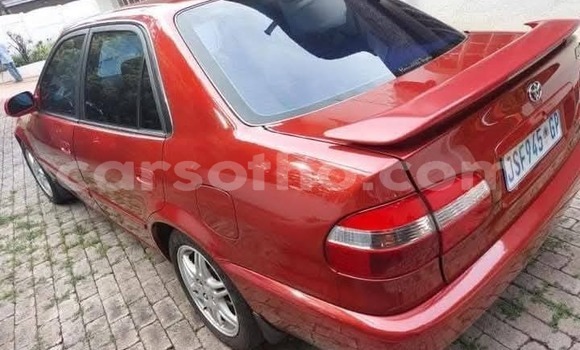 اشتري مستعمل Toyota Corolla Red سيارة في Maputsoe في Leribe اشتري مستعمل Toyota Corolla Red سيارة في Maputsoe في Leribe