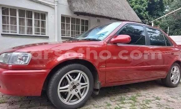 اشتري مستعمل Toyota Corolla Red سيارة في Maputsoe في Leribe اشتري مستعمل Toyota Corolla Red سيارة في Maputsoe في Leribe