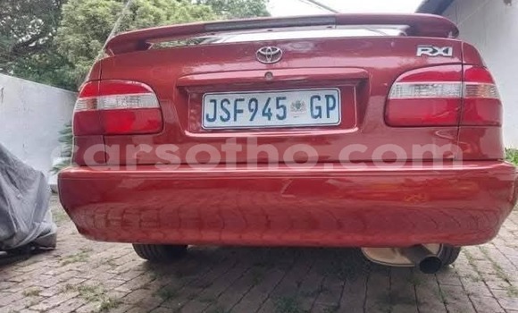 اشتري مستعمل Toyota Corolla Red سيارة في Maputsoe في Leribe اشتري مستعمل Toyota Corolla Red سيارة في Maputsoe في Leribe