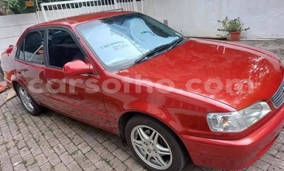 اشتري مستعمل Toyota Corolla Red سيارة في Maputsoe في Leribe اشتري مستعمل Toyota Corolla Red سيارة في Maputsoe في Leribe