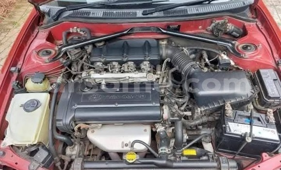 اشتري مستعمل Toyota Corolla Red سيارة في Maputsoe في Leribe اشتري مستعمل Toyota Corolla Red سيارة في Maputsoe في Leribe