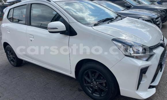 اشتري مستعمل Toyota Aygo White سيارة في Maseru في Maseru اشتري مستعمل Toyota Aygo White سيارة في Maseru في Maseru