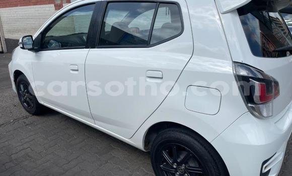 اشتري مستعمل Toyota Aygo White سيارة في Maseru في Maseru اشتري مستعمل Toyota Aygo White سيارة في Maseru في Maseru