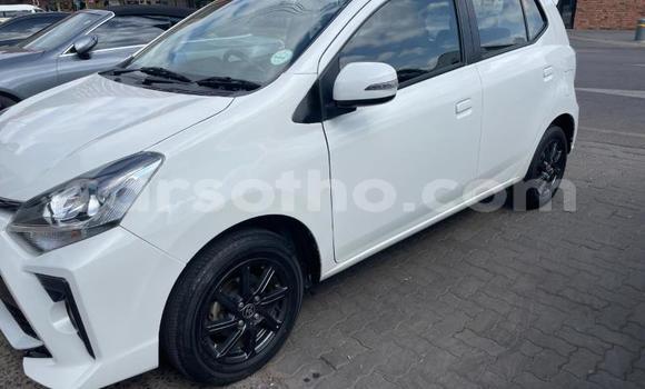 اشتري مستعمل Toyota Aygo White سيارة في Maseru في Maseru اشتري مستعمل Toyota Aygo White سيارة في Maseru في Maseru