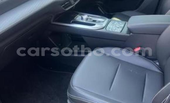 Acheter Occasion Voiture Haval H2 Gris à Maseru, Maseru