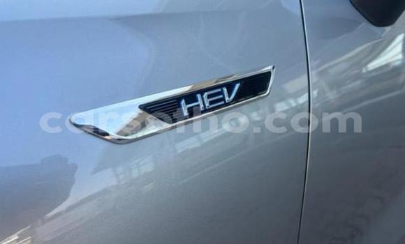 اشتري مستعمل Haval H2 Silver سيارة في Maseru في Maseru اشتري مستعمل Haval H2 Silver سيارة في Maseru في Maseru
