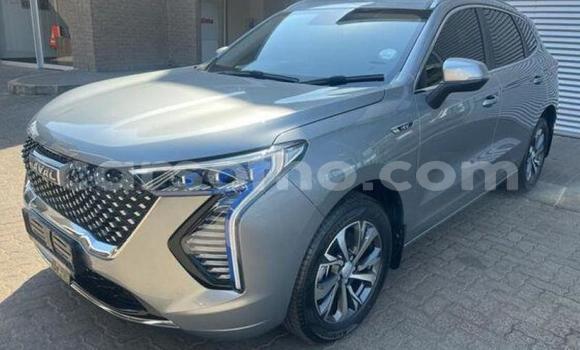 اشتري مستعمل Haval H2 Silver سيارة في Maseru في Maseru اشتري مستعمل Haval H2 Silver سيارة في Maseru في Maseru