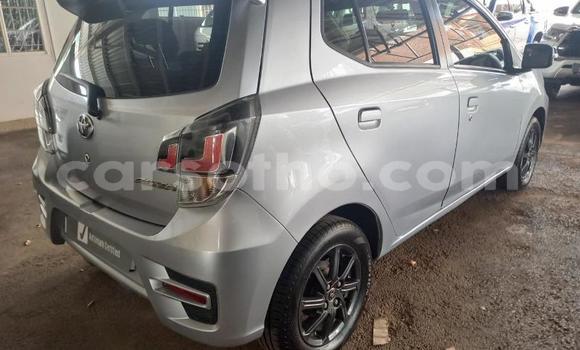 اشتري مستعمل Toyota Aygo Silver سيارة في Butha Buthe في Butha-Buthe اشتري مستعمل Toyota Aygo Silver سيارة في Butha Buthe في Butha-Buthe
