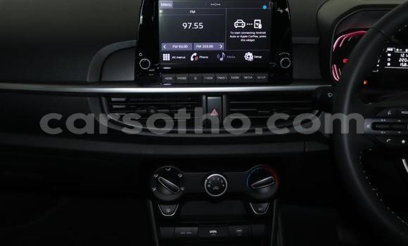 Buy Used Kia Picanto Silver Car in Maputsoa in Leribe Buy Used Kia Picanto Silver Car in Maputsoa in Leribe