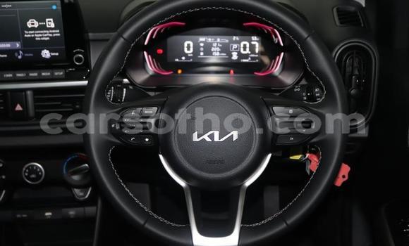 Buy Used Kia Picanto Silver Car in Maputsoa in Leribe Buy Used Kia Picanto Silver Car in Maputsoa in Leribe