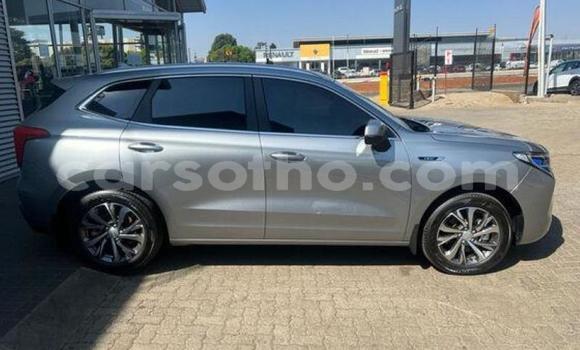 اشتري مستعمل Haval H2 Silver سيارة في Maputsoe في Leribe اشتري مستعمل Haval H2 Silver سيارة في Maputsoe في Leribe