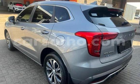 اشتري مستعمل Haval H2 Silver سيارة في Maputsoe في Leribe اشتري مستعمل Haval H2 Silver سيارة في Maputsoe في Leribe