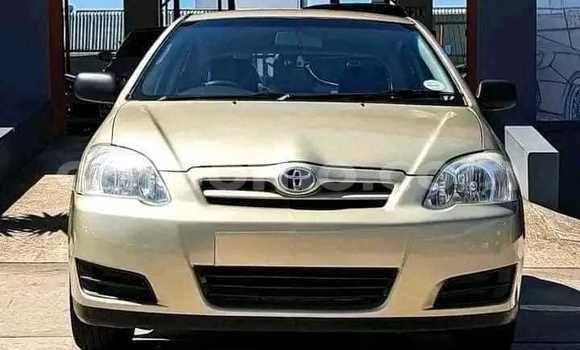 Buy Used Toyota Runx Other Car in Maseru in Maseru Buy Used Toyota Runx Other Car in Maseru in Maseru