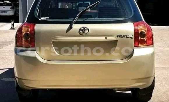 Buy Used Toyota Runx Other Car in Maseru in Maseru Buy Used Toyota Runx Other Car in Maseru in Maseru