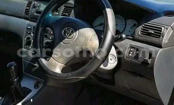 Buy Used Toyota Runx Other Car in Maseru in Maseru Buy Used Toyota Runx Other Car in Maseru in Maseru