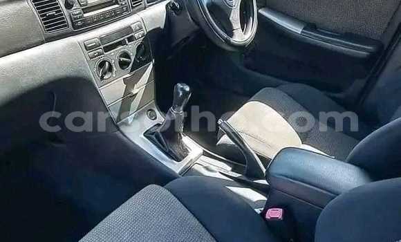 Buy Used Toyota Runx Other Car in Maseru in Maseru Buy Used Toyota Runx Other Car in Maseru in Maseru