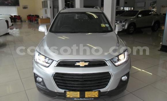 Sayi Na hannu Chevrolet Captiva Silver Mota in Maseru a Maseru